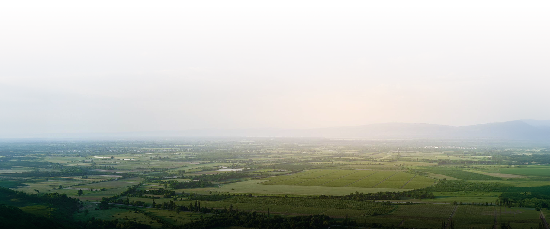 Treetopia - Nature's Own Estate